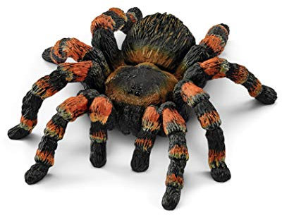 SCHLEICH WILD Life | Vogelspinne 14829 | detailgetreue Tierfiguren | Zoo Spielzeug | tolles Geschenk für Jungen und Mädchen | Deko für Geburtstag | Spielfigur ab 3 Jahren | 8 x 6 x 2 cm