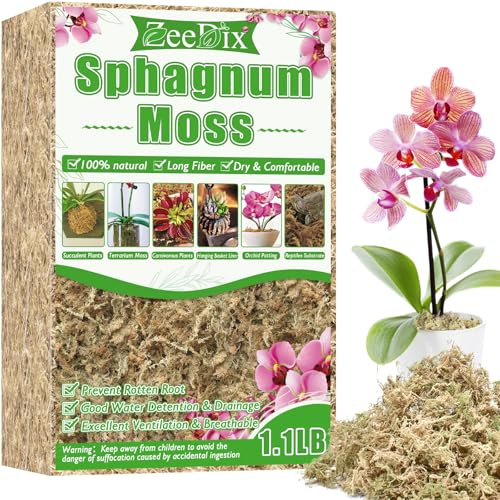 ZeeDix 500g Sphagnum Moos für Pflanzen, Natürliches Langfaser Sphagnummoos | Torfmoos in Großpackung für fleischfressende Pflanzen, Orchideen, Sukkulenten und Reptilien (40L hydratisiert)