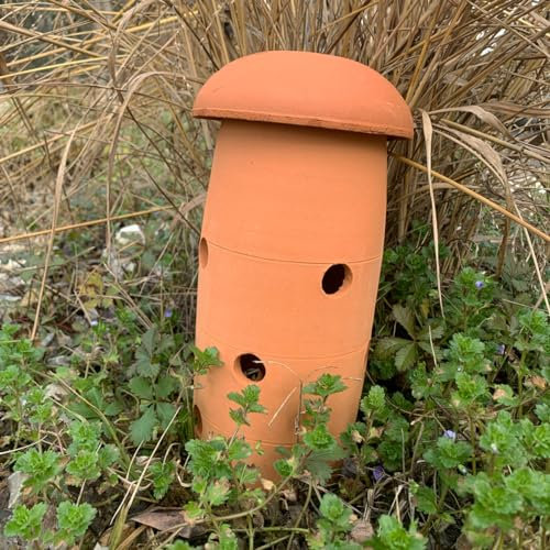Lombricomposteur à enterrer - 1,8 L - Poterie Jamet
