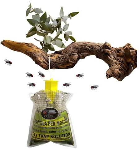 OISE ART STORE Trade Shop 639719a – Piège à mouches à insectes avec appât naturel écologique sans danger pour humains
