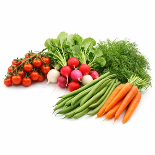 Gemüse Samen Set 5 Sorten Tomate Bajaja, Radieschen Mischung, Buschbohnen Jagusia, Möhre Nantes Sylvia & Dill Moravan