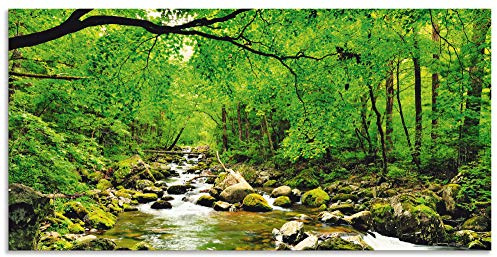 ARTLAND Wanddeko Wandbild Alu Verbundplatte für Innen & Outdoor Bild 60x30 cm Natur Landschaft Wald Fluss Wasserfall Felsen Steine Bach T1YH