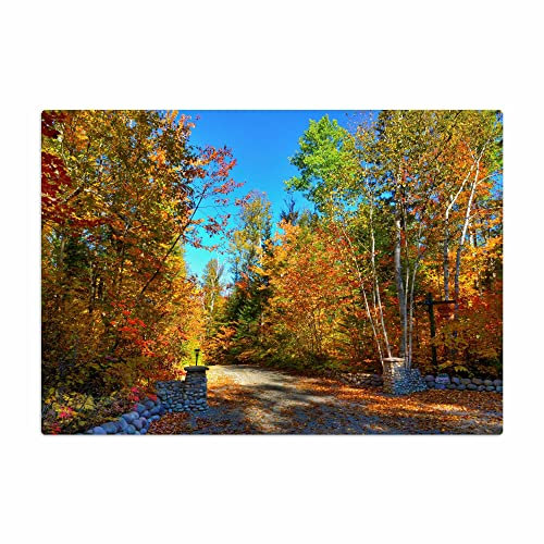 Vero Home 18124 Glas-Schneidebrett | Motiv Natur Herbstliche landschaft | rutschfest, kratzfest und lebensmittelecht | Maße: 39 x 29 cm