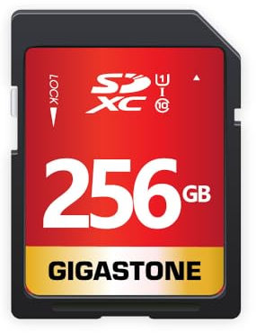 256GB Gigastone Pro SDXC 95MB Digital Card GS-SD-256 1-1PK-B