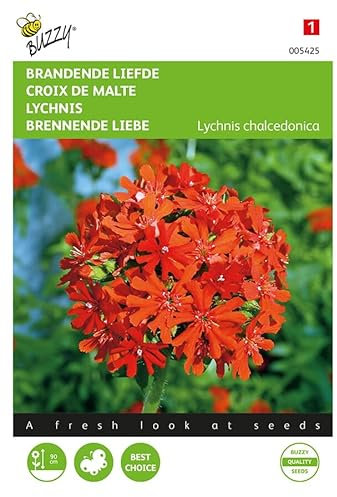 Buzzy Seeds 005425 Brennende Liebe (Nelkensamen)