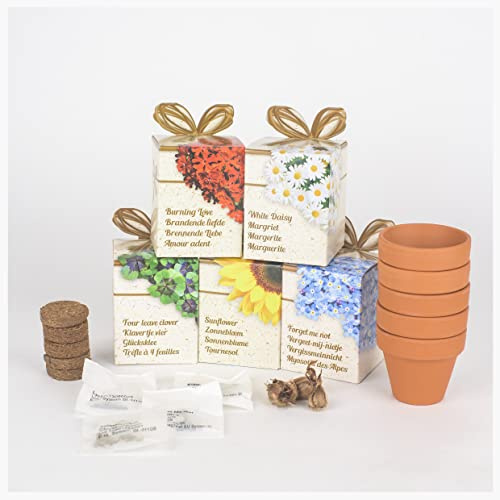 Greengift Geschenkset - 5 Pflanzen im Anzuchttopf - Samen einfach zu hause pflanzen - Bio starter kit Saatgut für Hochbeet Flaschengarten DIY für Hobbygärtner und Kinder (5)