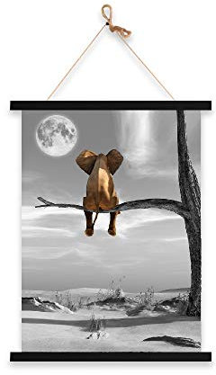 Visario 4361 Rahmen Größe 30 cm Posterleiste Posterschiene mit Magnet.