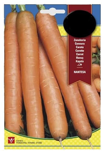 Semillas de la Planta de la Zanahoria para Cultivar Zanahorias en Casa