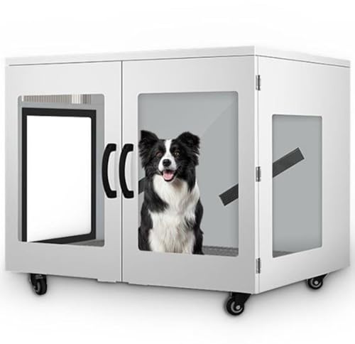 Qiang Asciugacapelli Automatico per Animali Domestici,Asciugatrice per Toelettatura per Cani E Gatti Ultra Silenzioso,Controllo Temperatura,Efficiente a 360° per Gatti E Cani Taglia Grande