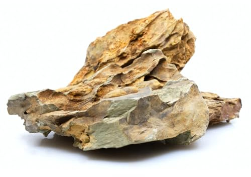 WabiFlur - Dragon Stone Rocas Naturales para Acuario y Nano Garden - Mezcla Irregular para diseño Salvaje y Natural, Paquete de 500/700 g