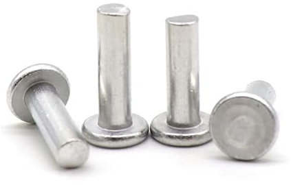 5/100 Stück M2 M2.5 M3 M4 M5 M6 M8 Flacher dünner Rundkopf Massives Aluminium Niet GB109 Handschlaglocher selbststeckende feste Nieten-10 mm, 10 Stück M5