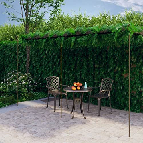 Furniture select-Pergola de jardin en fer Marron antique 6 x 3 x 2,5 m