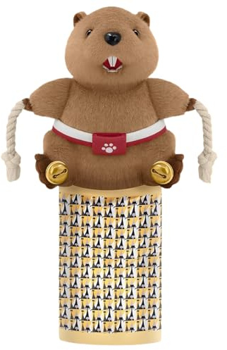 Syengery Katzen Wrestling Spielzeug | Interaktives Spiel | Interaktiver Handschuh Mit Integrierter Spielglocke,für Zuhause Wohnzimmer Küche Balkon Wohnung