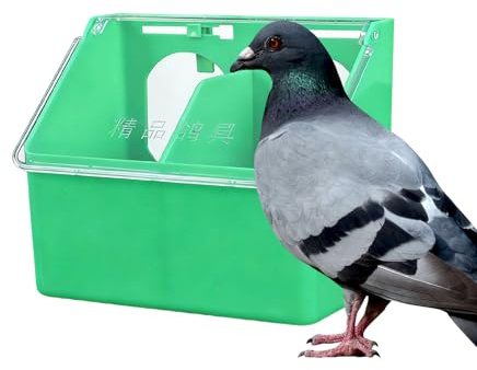 Mangeoire à Oiseaux d'Extérieur - Distributeur Robuste De Grande Capacité,Boîte Distributeur De Nourriture Pour Pigeon De Compagnie,Pour Poules Caille Perroquet Perruche Volière Jardin Ferme Intérieur