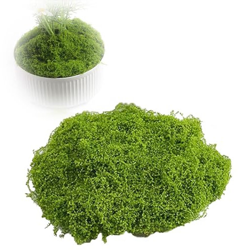 arrderly 60g Kunstmoos für kreative Dekoration - Wiederverwendbare Moosblätter ideal für Wandgestaltung, Aquarien & Modellbau