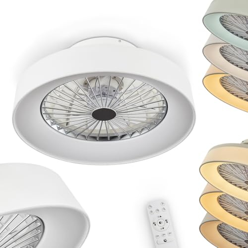 Ventilateur lumineux LED Moli en métal gris & plastique blanc, plafonnier à intensité variable, minuteur et veilleuse contrôlables via télécommande incluse, 40 Watt, 2200 Lumen, 3000-6500 Kelvin