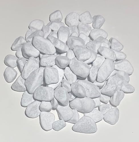 Generic HCommerce Schneeweiß Marmorkies I Carrara Kies I Dekosteine - Körnung 15-25 mm (10, Kilogram)