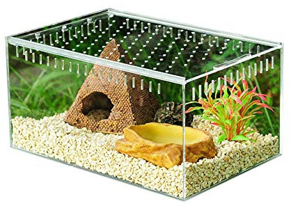 Luckyx Transparente Reptilien-Zuchtbox aus Acryl mit verschiebbarer Abdeckung Typ Futterbox Futterbox Acryl Terrarium mit Sichtfenster Wohnraum für Insekten Reptilien Lose Raupen Spinnen Schnecke
