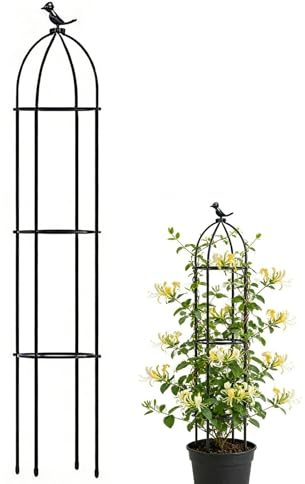 Soporte de enrejado para plantas - techos de plantas en maceta, enrejado de jardín a prueba de óxido | Soporte de escalada decorativo para uva vegetal Monstera Rose Clematis uso en el jardín interior