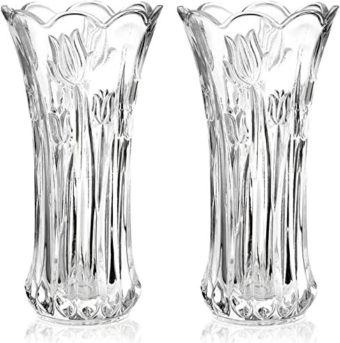 Dicunoy 2 Stück Glas Blumenvase, 24cm Große Moderne Glasvase für Tafelaufsätze, Moderne KlareTulpenvase, Rose Vase, Heavy Duty Crystal Tall Zylinder Flared Vase für Haus, Hochzeit, Wohnzimmer, Büro