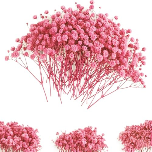 Schleierkraut Getrocknet, 50 Stück Trockenblumen zum Basteln Schleierkraut Klein Getrocknete Blumen Getrocknete Blüten für DIY Fotorahmen, Lesezeichen, Grußkarten (Rosa)