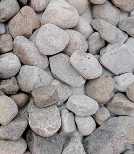 BERNARDELLI - Ciottoli Grigio Occhialino (25/40 mm) per arredo di esterni, vasi e fiorere - Sacco da 10 kg