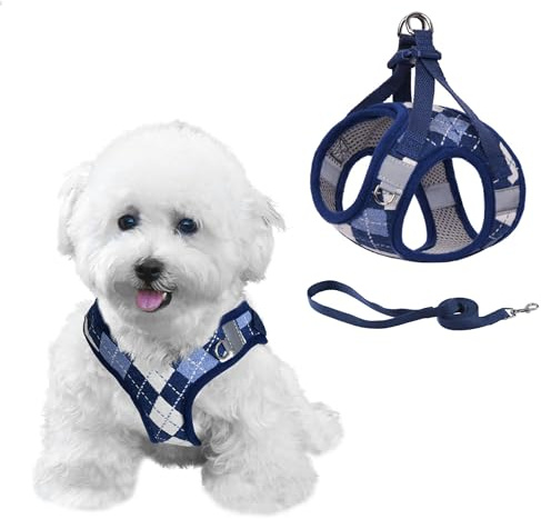 PawSailor No Pull Verstellbares Hundegeschirr für kleine Hunde, Step-in-Plaid, weiches Mesh-Bulldoggengeschirr mit Leine, ausbruchsicher, reflektierend, leicht zu laufen, Welpenwestengeschirr, Blau, S