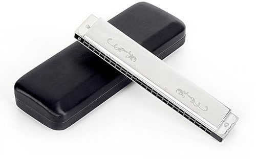 Professional Mundharmonika 24-Loch Tremolo-Mundharmonika In Silber Für Anfänger Und Erwachsene Mit Etui(F SHAPE)