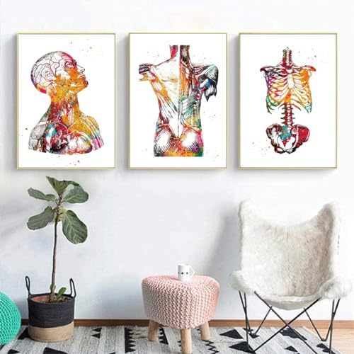 KXHHYB Set di 3 poster anatomici da parete con cuore, cervello, anatomia umana, ospedale, clinica, arte da parete, medica, senza cornice (B, 50x70cm*3)