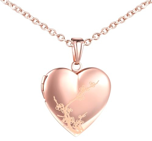 MICMIF Edelstahl Bilder Medaillon Personalisierte Kette Herz Anhänger mit Pflaumenblüte Muster Blumen Foto Halskette | Kette Damen Amulett Medaillon für 2 Bild Halskette für Mama Freundin & Frauen