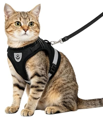 Anlitent Soft Mesh No Pull Cat Harness and Lead Set for Walking, Escape Proof Kitten Vest Harnesses for Small Dogs/Cats/Animals Rabbit, Cool Cat Dog Collar with Leash (Black, Medium)