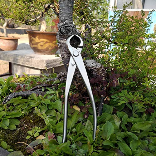 Konkave Bonsai Schere, Astschere aus Edelstahl, 180-mm Knopfschneider Werkzeug für Garten mit Komfortablem Griff, Kleine Größe zum Beschneiden von Ästen