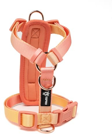 TSPRO Hundegeschirr, Leicht & Verstellbar, Farbverlauf für Kleine Hunde | Schnellverschluss, Atmungsaktives Polyester und H-Design für Spaziergänge, Training und Alltag (Orange Gelb, Größe 1)