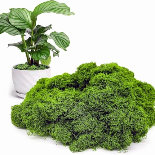 Fenglin-joy Musgo Artificial Decoracion,200g Musgo Artificial para Manualidades para Bricolaje Presentación de Mesa Arreglos Florales Jardín de Hadas (Verde Oscuro)