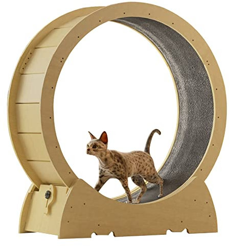 DIIDIIFF Großer Katzenlauftrainer für den Innenbereich, geräuschloses Laufrad aus Holz mit drehbarem Laufrad für Katzen, leicht zu reinigen und zu installieren