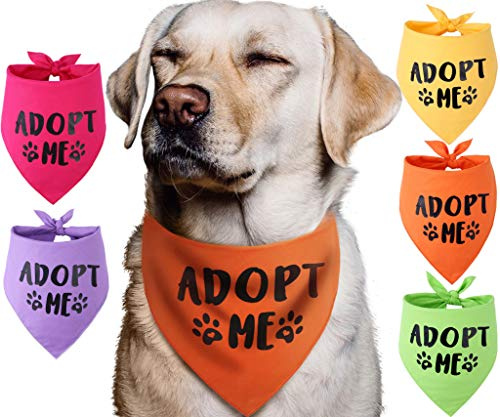 Pawskido Adopt Me Halstuch, 5 Stück, Adopt Me Halstücher für Hunde, Gelb,Grün, Baumwolle, 69.8 x 48.3 cm, Einfarbig, Sommer, Frühling, Herbst, Hund, Bandana, Tierbedarf