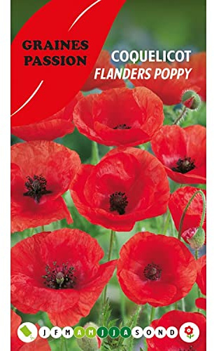 Graines passion sacchetto di semi Papavero Papavero delle Fiandre