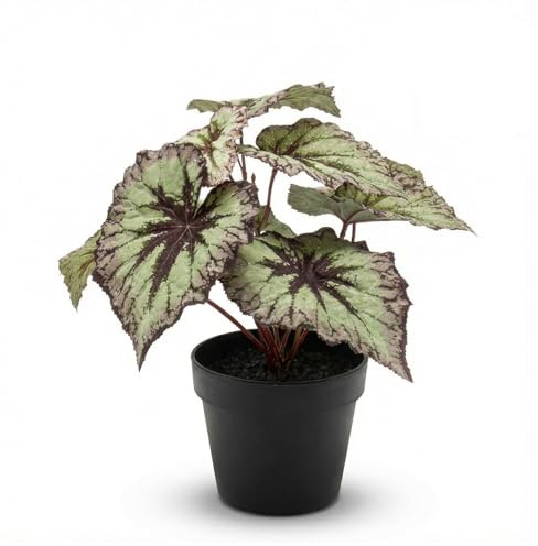 Planta artificial de begonia, aprox. 26 cm, hojas gris-violetas, resistente a los rayos UV, planta artificial en maceta, decoración para interior y exterior, balcón, terraza