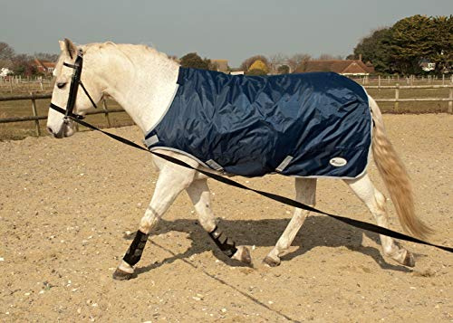 Rhinegold - Alfombra para Caminar Caballos, 0, Horsewalker - Alfombra, Azul Marino, 6'3
