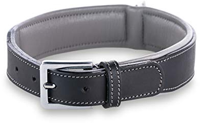 Jack & Russell Premium Hunde Leder Halsband Amy - Lederhalsband aus Echtleder - gepolstert - robust & elegant Amy (L, Schwarz/Grau)