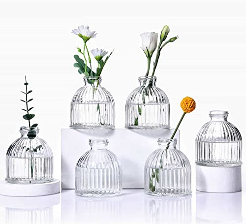 Eidoct Glass Bud Vases Set of 6, Glass Flower Vases Small Bottles | Rustic Decorative Floral Vases for Centerpiece Home Living Room Office or Wedding Event
