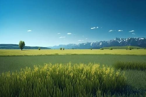 adrium Acryl-Bild 120 x 80 cm: Schöne Sommerlandschaft mit grünem Feld und Bergen im Hintergrund. (200770411)