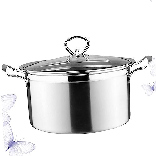 THEGA Pentola per Zuppa - Pentola per Zuppa di Pesce, Pentola da Cucina in Acciaio Inossidabile con Coperchio Casseruola Pentola da Cuoco Pentola per Latte Anti Trabocco