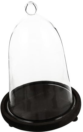 Ciieeo 1set Preserved Flower Glass Dome Base Decorative Glass Cover for Landscape Dried Flowers Chic Ornament for Display