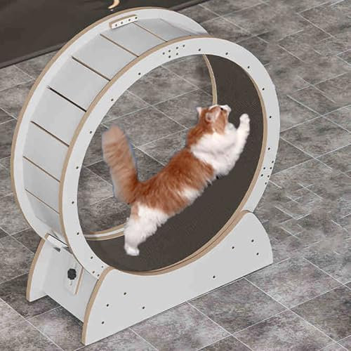 Dsejynxxlaufband für katzenCat Running Wheel Katzenlaufrad für Hauskatzen mit Feststellstift. Katzenlaufrad mit großem Durchmesser aus natürlichem Massivholz. Innendurchmesser 86 cm.(Color:1)