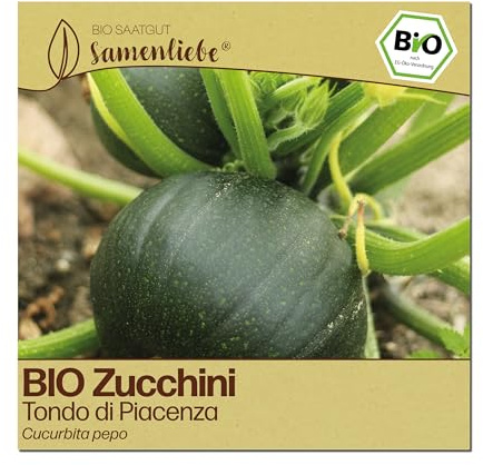 Samenliebe BIO Zucchini Samen | Tondo di Piacenza - rund - samenfestes BIO Saatgut