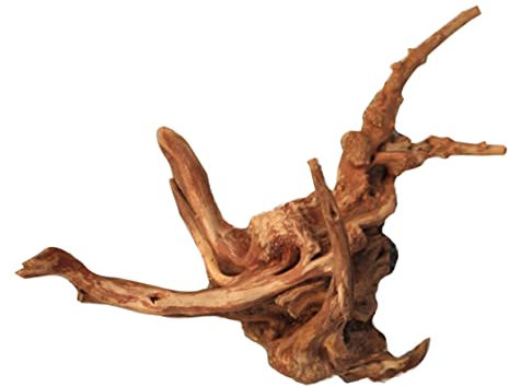 VICASKY Mini Rhododendron Tree Roots Natural Wood Aquarium Ornament for Fish Tank Decor Micro Landscape Ornaments s Random Style