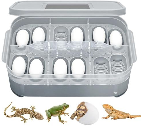 Reptilienbrutkasten | Eidechsen Zuchtbox - Reptilienzucht Zuchtbox Spinne Futterbox für Bartagamen Gecko Skorpion