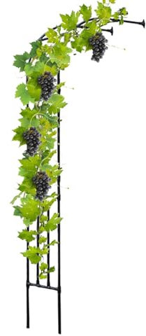 Gartenspalier, Halbseitenbogen, robuste Gartenlauben, Weinreben, Pergola, Hochzeitstorbogen aus Metall – H 240 cm, Rosenlaube, Kletterpflanzen, Stützbögen(60x240x40CM/2.0x7.9x1.3ft)