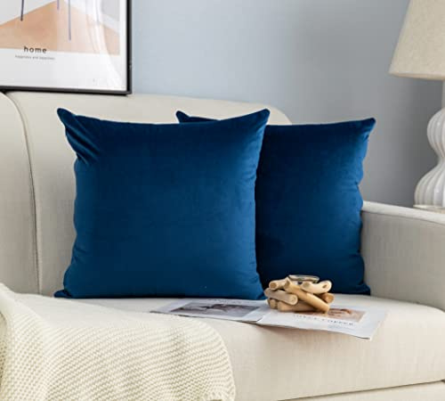 Coppia Federe Cuscini in Velluto Per Divano e Letto Copricuscini Antiacaro e Ipoallergenico Arredamento Casa con Zip Invisibile 2 pezzi (45x45cm, Blu)